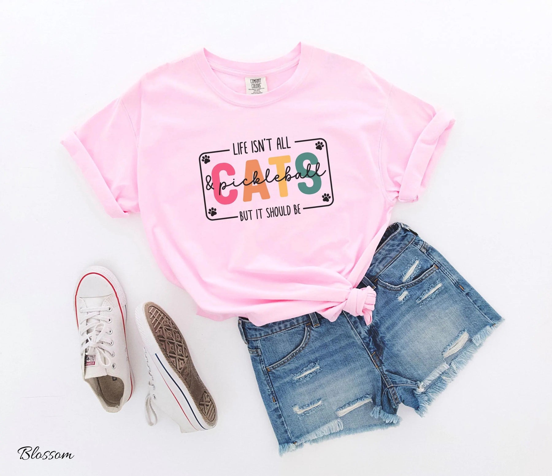 Comfort Colors Life Isn't All Cats&Pickleball，But it Should Be T-Shirt